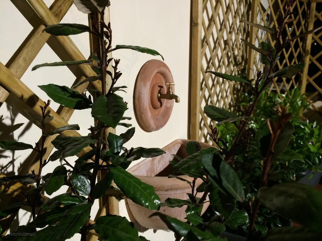 Bed and Breakfast Il Giardino Segreto Península Sorrentina Exterior foto