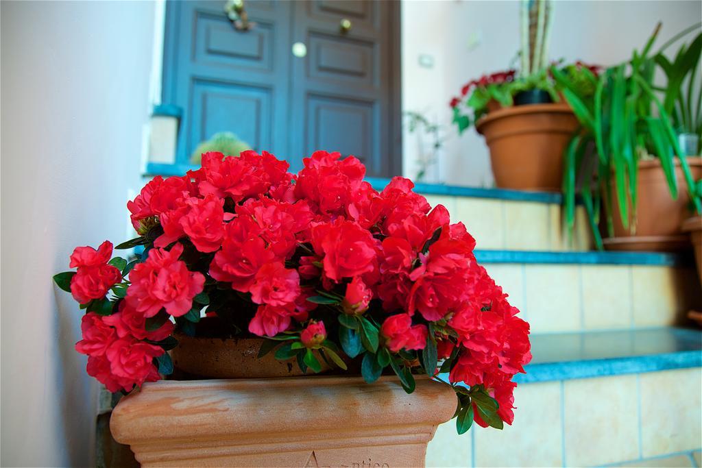 Bed and Breakfast Il Giardino Segreto Península Sorrentina Exterior foto