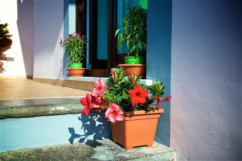 Bed and Breakfast Il Giardino Segreto Península Sorrentina Exterior foto