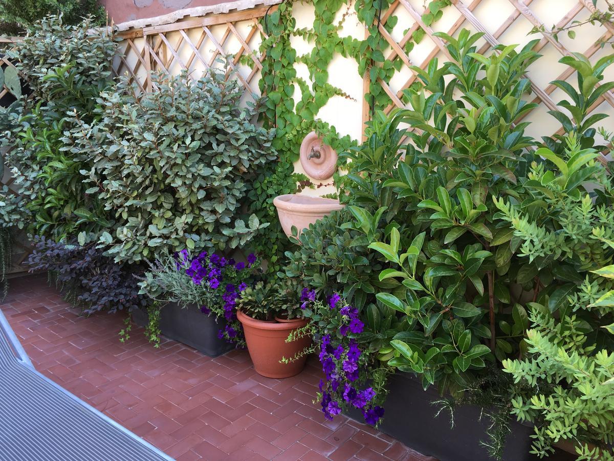 Bed and Breakfast Il Giardino Segreto Península Sorrentina Exterior foto